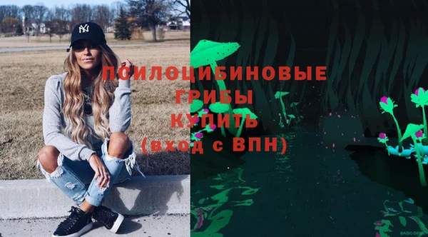 хмурый Горно-Алтайск