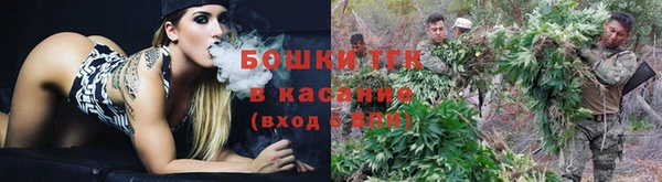 стаф Горнозаводск