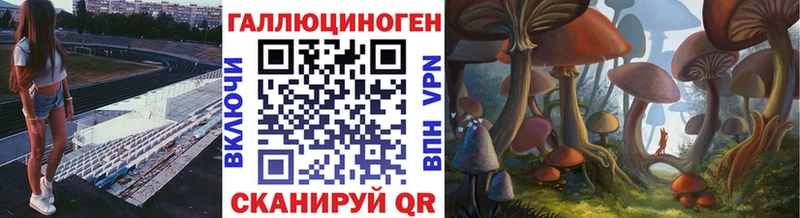 наркошоп Дятьково Псилоцибиновые грибы Cubensis