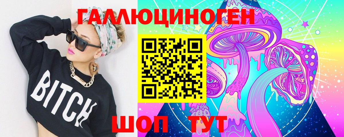 купить наркотик  Псилоцибиновые грибы GOLDEN TEACHER  Вход с VPN  Дятьково 