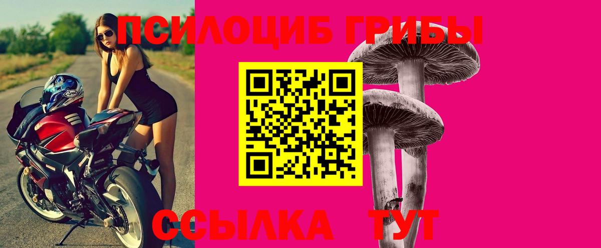 Псилоцибиновые грибы Magic Shrooms Дятьково